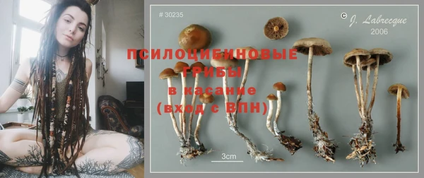 прущий лед Алексеевка