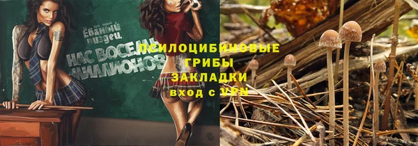 бошки Алзамай