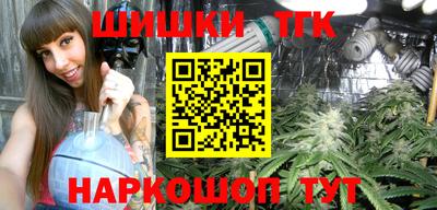 индика Волжский