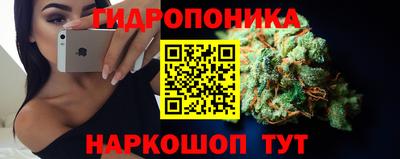 индика Волжский