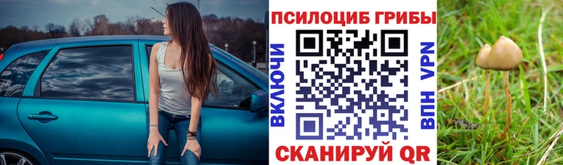 Галлюциногенные грибы GOLDEN TEACHER  Конаково 