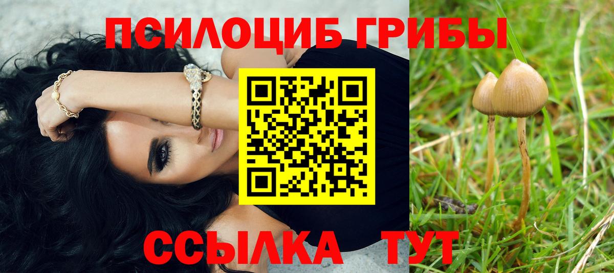 Галлюциногенные грибы Magic Shrooms  Псилоцибиновые грибы Psilocybine cubensis  Вход с VPN  Конаково 