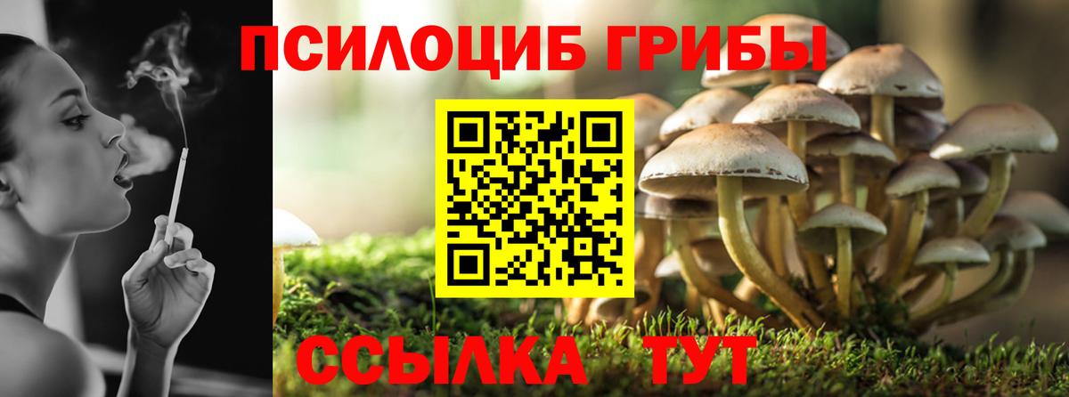 Галлюциногенные грибы GOLDEN TEACHER Конаково